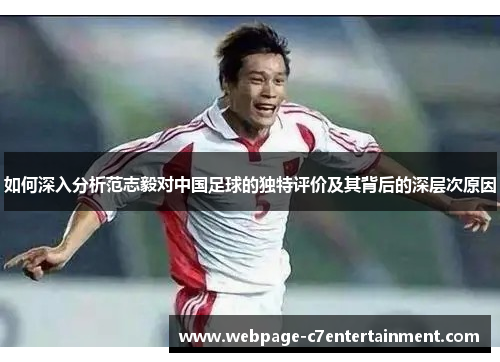 如何深入分析范志毅对中国足球的独特评价及其背后的深层次原因