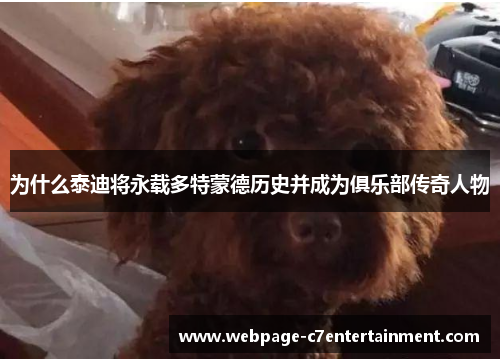 为什么泰迪将永载多特蒙德历史并成为俱乐部传奇人物 为什么泰迪将永载多特蒙德历史并成为俱乐部传奇人物