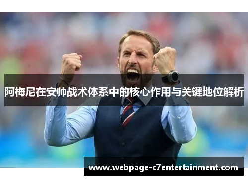 阿梅尼在安帅战术体系中的核心作用与关键地位解析