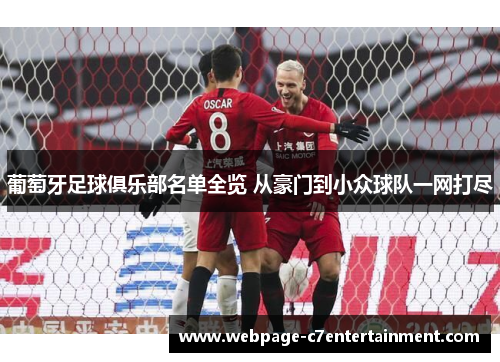 葡萄牙足球俱乐部名单全览 从豪门到小众球队一网打尽