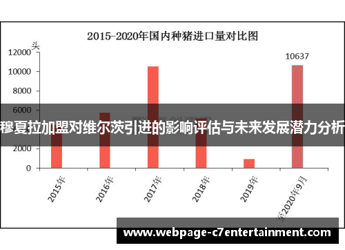 穆夏拉加盟对维尔茨引进的影响评估与未来发展潜力分析